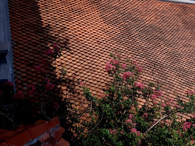 Mái ngói đỏ quen thuộc ở các làng quê Bắc Bộ. Ảnh: Điêu khắc Liên Vũ