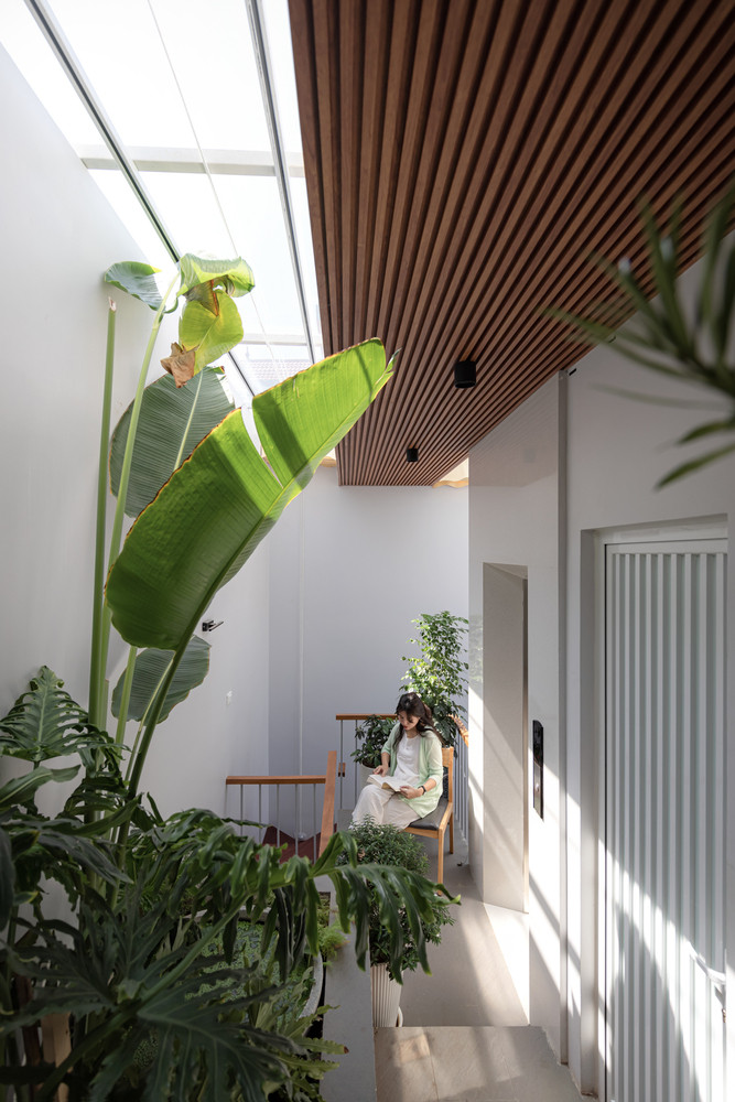 Để có được không gian thoáng ưu tiên cho cây xanh, thay vì mở giếng trời lớn, kiến trúc sư tạo một giếng trời nhỏ để lưu thông không khí ở cuối nhà.