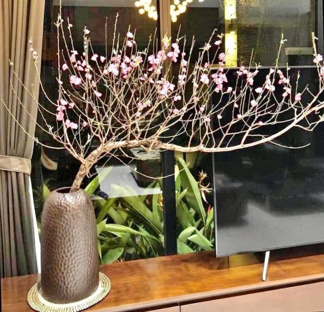 Gia đình nghệ sĩ Tự Long đang sống trong căn hộ ấm cúng với tông màu nâu của gỗ chủ đạo tại Hà Nội.