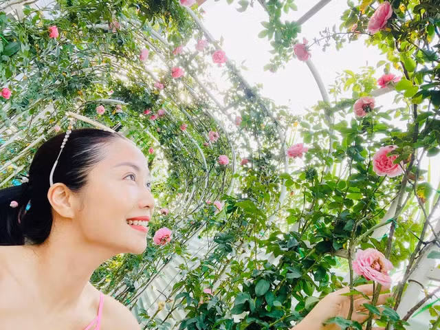 Các loại hoa hồng Ốc Thanh Vân chọn đều là những loại giống đắt đỏ và cần có sự đầu tư lớn khi nuôi trồng.