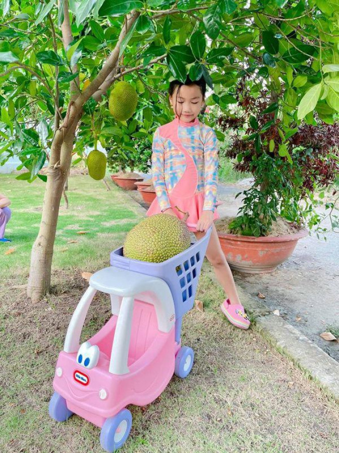 Ngoài hoa, trong biệt thự còn trồng các loại cây ăn quả.