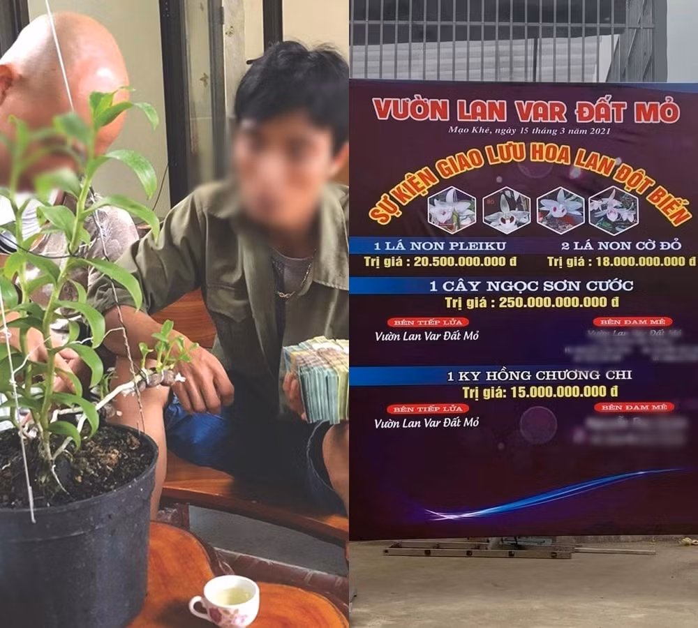 Những màn giao dịch lan đột biến trăm tỷ đồng làm dân tình ngỡ ngàng. Ảnh: Dân Việt