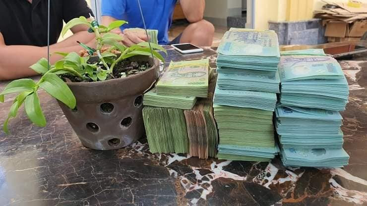 Thế nhưng, cách đây vài năm, trên các diễn đàn mạng xã hội, không khó để bắt gặp thông tin về những vị đại gia giàu có của Việt Nam chi tiền tỷ chỉ để sở hữu một chậu hoa lan đột biến. Ảnh: Facebook