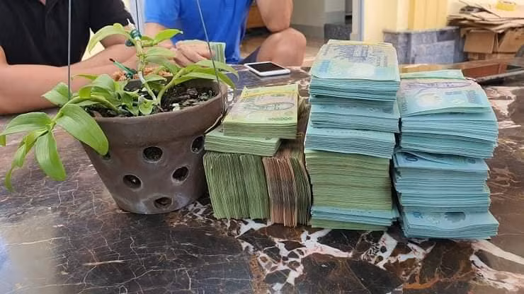 Thế nhưng, cách đây vài năm, trên các diễn đàn mạng xã hội, không khó để bắt gặp thông tin về những vị đại gia giàu có của Việt Nam chi tiền tỷ chỉ để sở hữu một chậu hoa lan đột biến. Ảnh: Facebook
