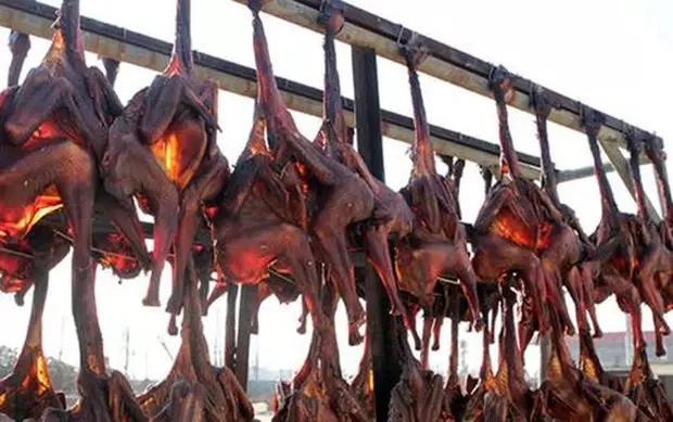 Sự đau đớn tột cùng sẽ gặm nhấm con gà cho tới khi chúng từ từ chết đi, thân xác khô quắt lại và chờ lên bàn ăn phục vụ thượng khách giàu có. Ảnh: Baidu