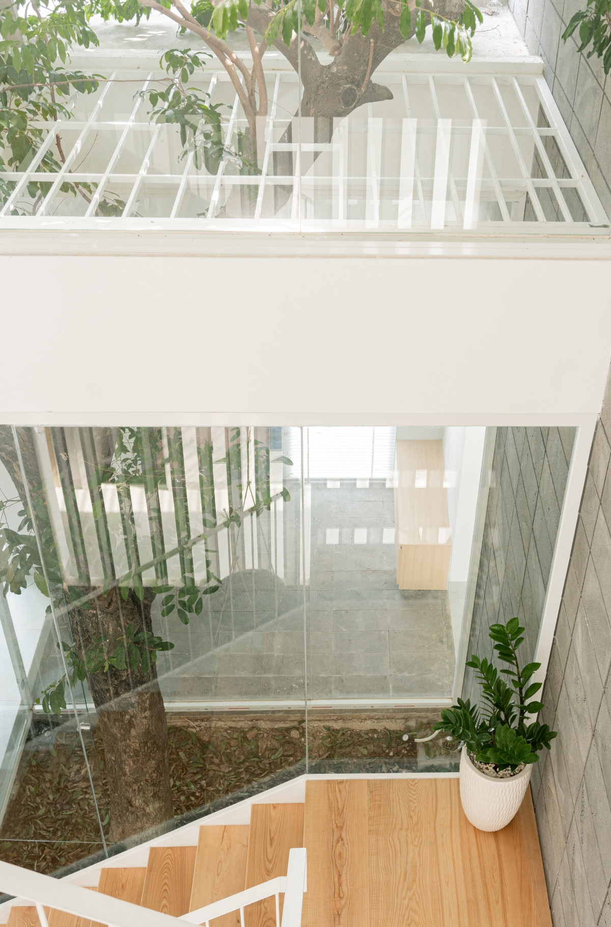 Ở bên trong, các không gian được liên thông với nhau và xoay quanh giếng trời, cầu thang với rất nhiều cây xanh.