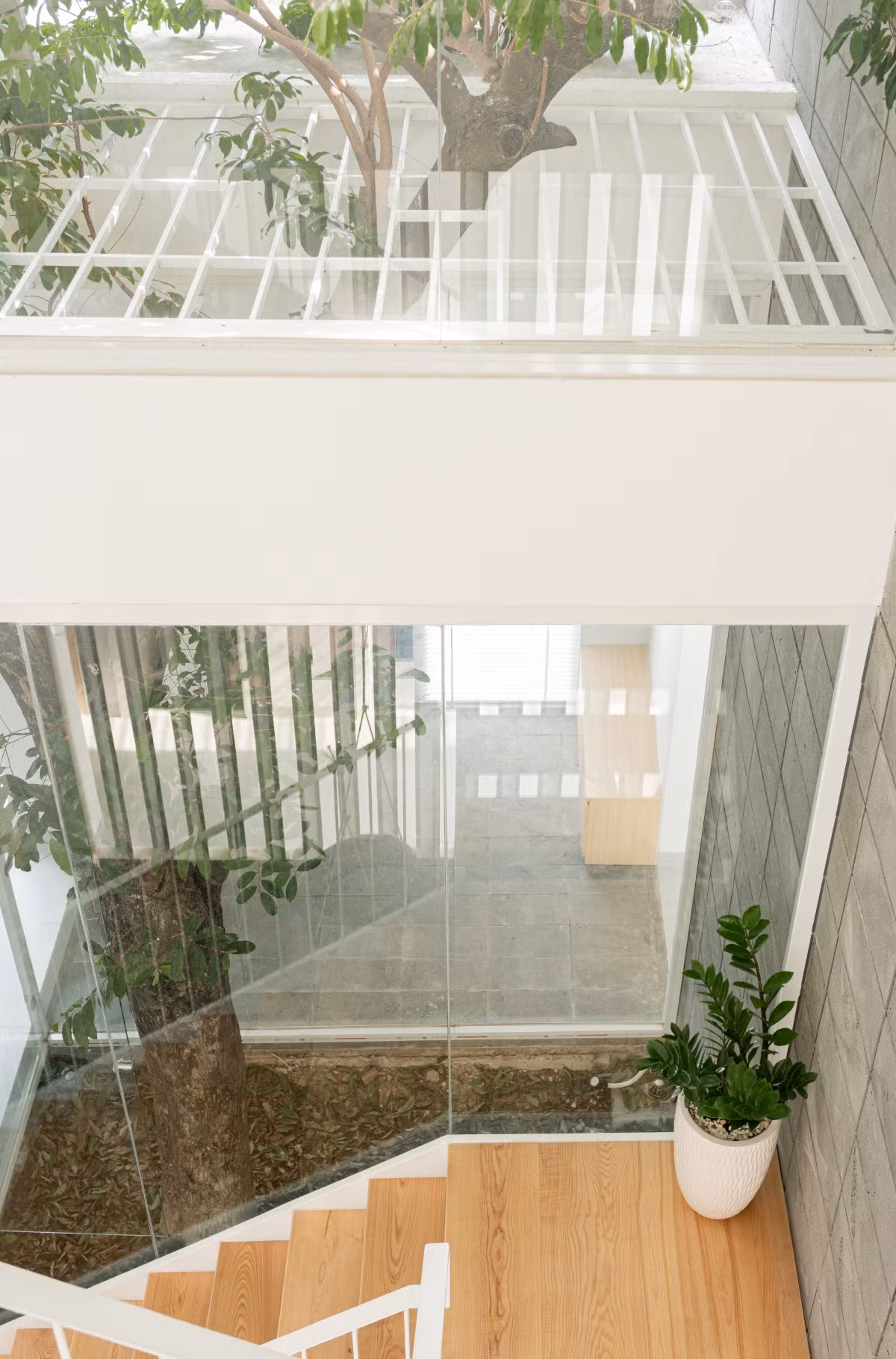 Ở bên trong, các không gian được liên thông với nhau và xoay quanh giếng trời, cầu thang với rất nhiều cây xanh.