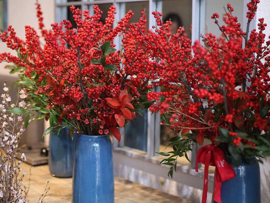 Tại các cửa hàng hoa nhập khẩu, đào đông đỏ có giá khá đắt, dao động từ 500.000 - 800.000 đồng/cành thậm chí lên đến cả triệu đồng/cành. Ảnh: NLĐ