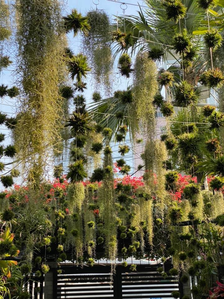 Toạ lạc giữa trung tâm thành phố Cần Thơ, ngôi nhà rộng 300m2 của gia đình chị Trần Thị Huyền Chi ở quận Ninh Kiều nhận được hàng nghìn lời khen ngợi từ cộng đồng mạng.