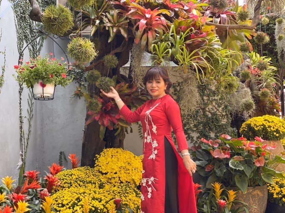 Dứa cảnh xuất hiện ở khắp mọi nơi trong khu vườn, khiến cho chốn này mang một vẻ đẹp đặc trưng, riêng biệt.