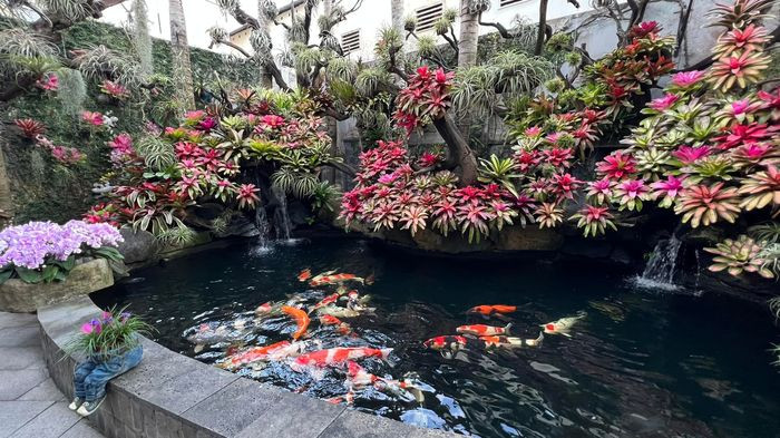 Bên cạnh hàng cây xanh biếc, khu vườn còn có hồ nước chảy róc rách và những chú cá Koi đầy màu sắc đang bơi lội tung tăng.