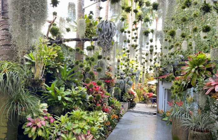 Căn nhà của chị Huyền Chi sở hữu khu vườn đẹp mê ly, lung linh như chốn "tiên cảnh".