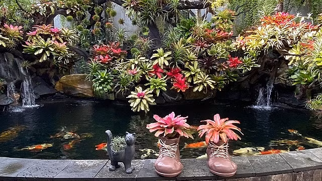 Chị còn lắp đặt cả hệ thống xả, lọc nước hiện đại để nước trong hồ cá luôn sạch và không khí xung quanh căn nhà vườn cũng thanh lọc, thoáng đãng. Nguồn ảnh: Huyền Chi