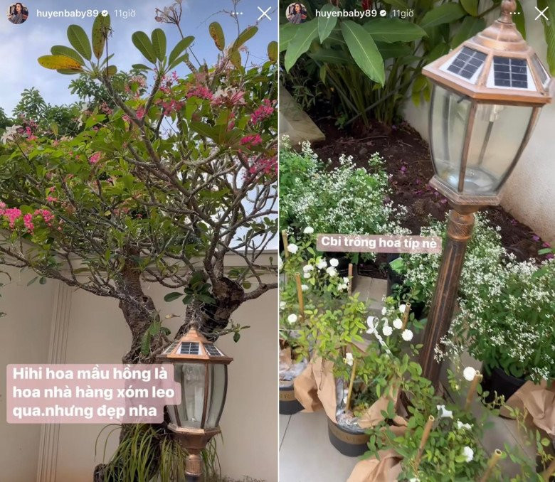 Căn biệt thự của Huyền Baby có sân vườn rộng rãi, xung quanh bao phủ bởi nhiều cây cảnh, hoa đủ màu sắc...