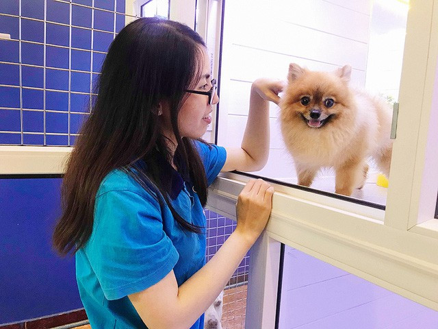 Trông giữ thú cưng ngày Tết cũng là công việc "hái ra tiền". Khi chủ nhà đi vắng, họ sẽ phải tìm đến dịch vụ trông giữ thú cưng. Ảnh: PT Pet Shop