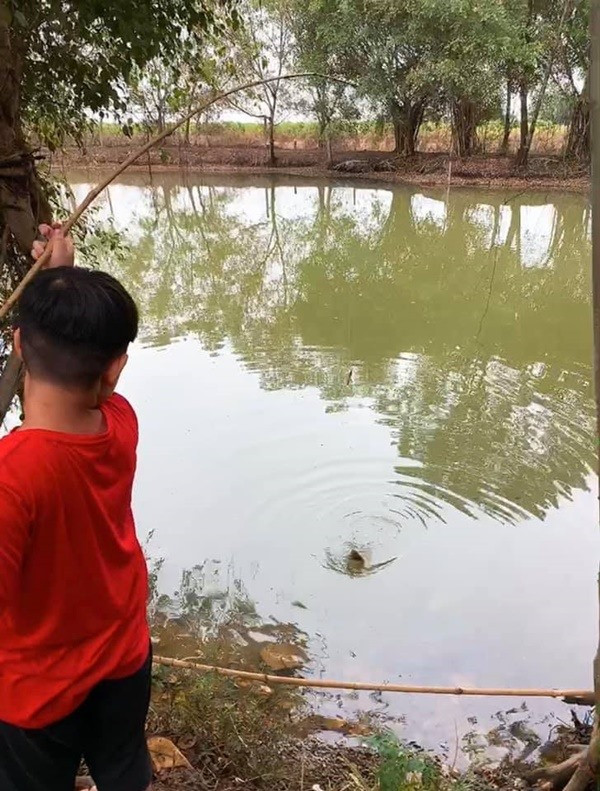 Ao câu cá trong trang trại của Lê Phương.