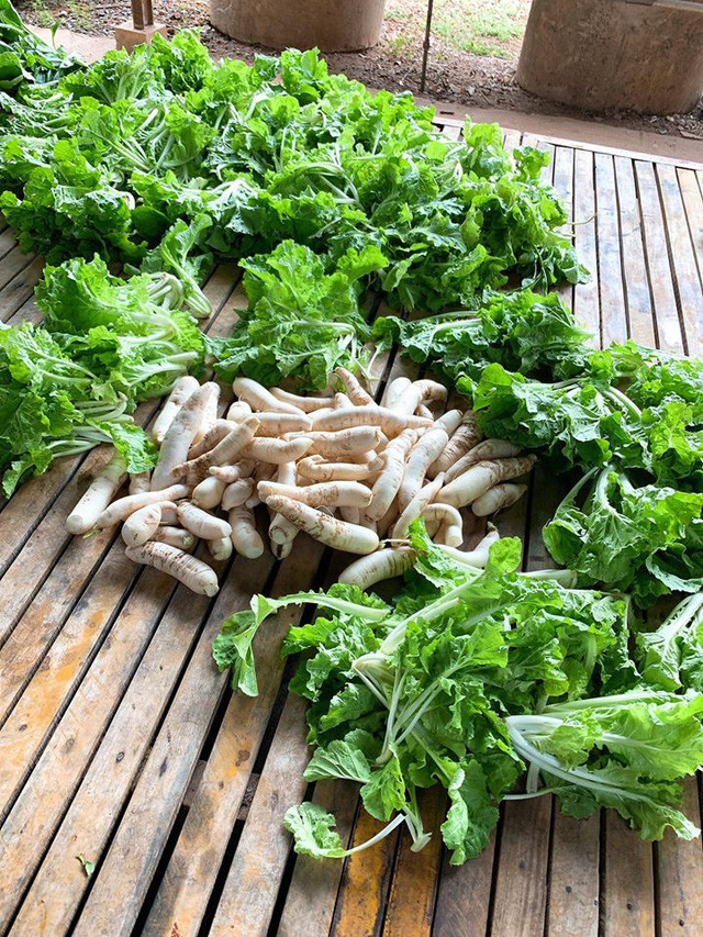 Thành quả thu hoạch trong trang trại của gia đình diễn viên Lê Phương. Nguồn ảnh: FBNV