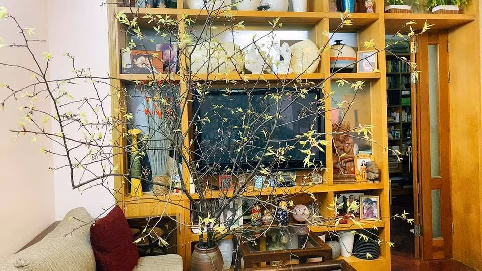 Chiếc kệ ngăn giữa phòng khách và phòng ngủ thay cho bức tường đơn điệu.