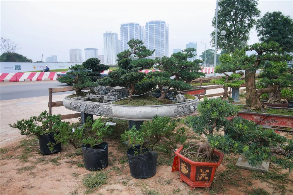 Nhiều đại gia sẵn sàng "xuống tiền" để sở hữu tác phẩm nhưng chủ nhân vẫn chưa quyết bán. Ảnh: Dân trí