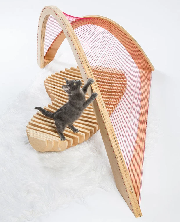 Mái vòm thiết kế tỉ mỉ từ những sợi dây chắc chắc biến ngôi nhà thành tác phẩm nghệ thuật phá cách.