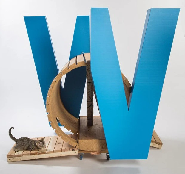 Với căn nhà này, những chú mèo vừa được tập thể dục, vừa được vui chơi. Nguồn ảnh: B.P, Insider