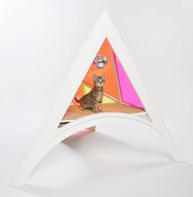 Căn nhà hình vòm với các khung cửa sặc sỡ, trông vừa thu hút lại vừa tươi sáng.