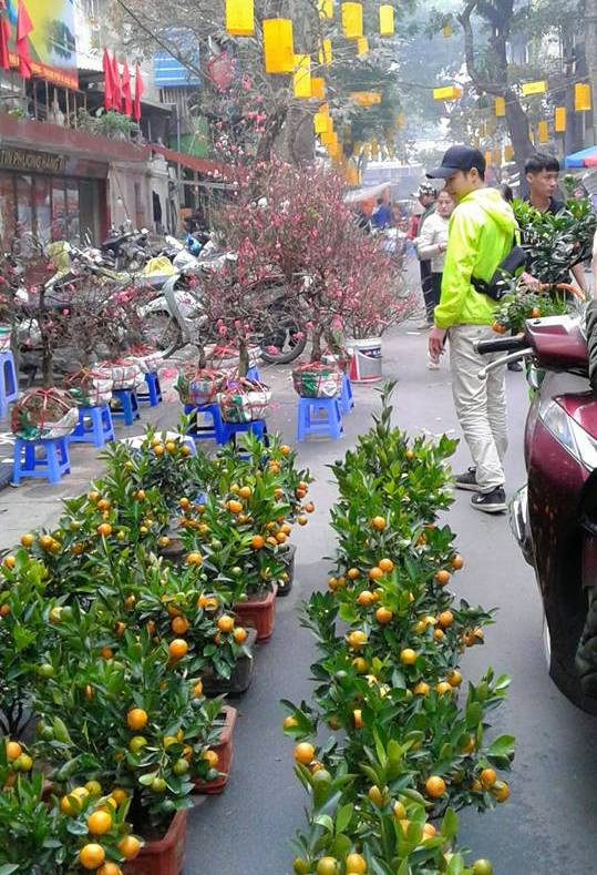 Suốt chiều dài phố Hàng Lược và cả những phố lân cận (Hàng Chai, Hàng Rươi, Hàng Mã, Hàng Đồng) bày kín đủ các loại hoa. Ảnh: Hanoimoi