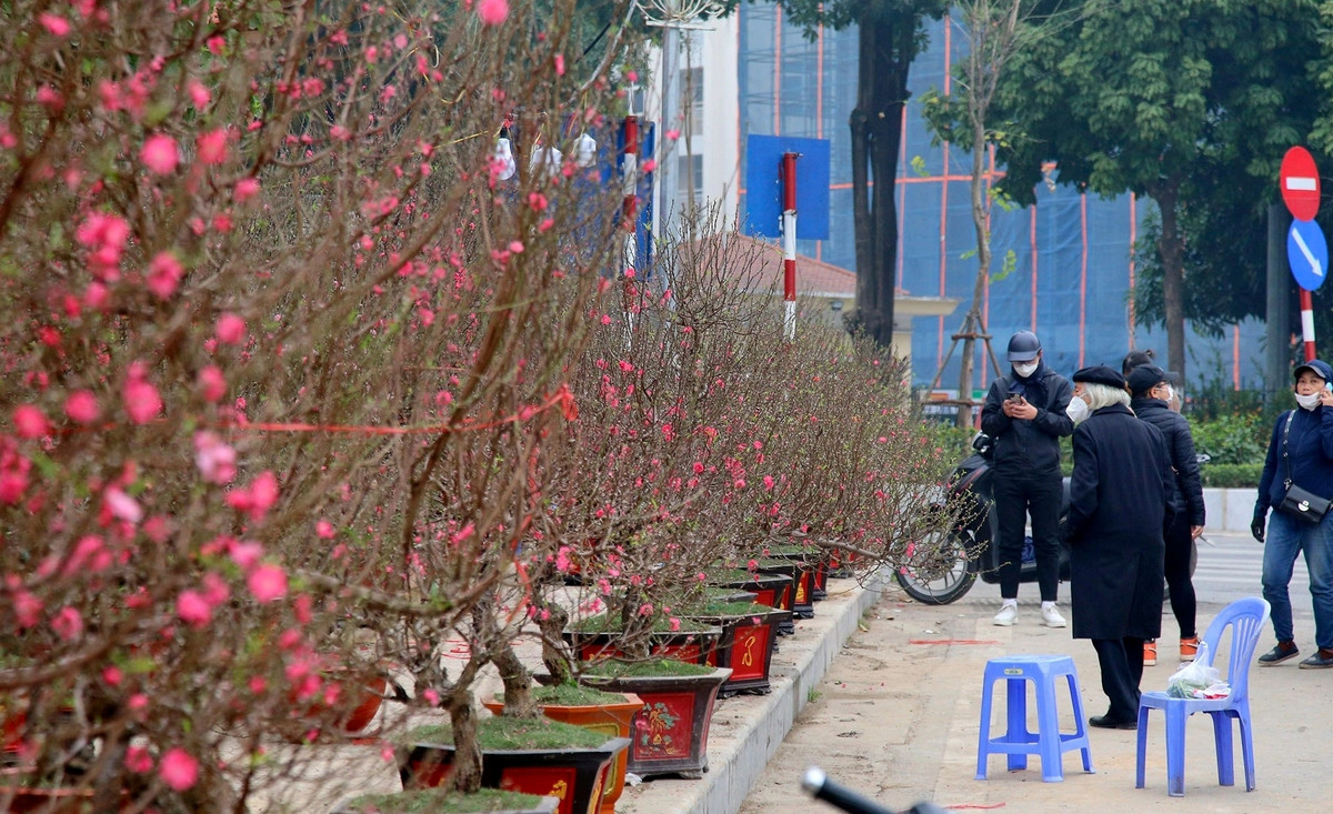 Trước đây, chợ hoa Lạc Long Quân kéo dài từ đầu đường Nghi Tam đến hết đường Âu Cơ và chạy dọc theo đường Lạc Long Quân. Tuy nhiên, do gây ùn tắc giao thông, nên quy mô của chợ đã bị thu hẹp lại, hiện họp ở đường Lạc Long Quân kéo dài đến đầu đường Thụy Khuê. Ảnh: Dân trí