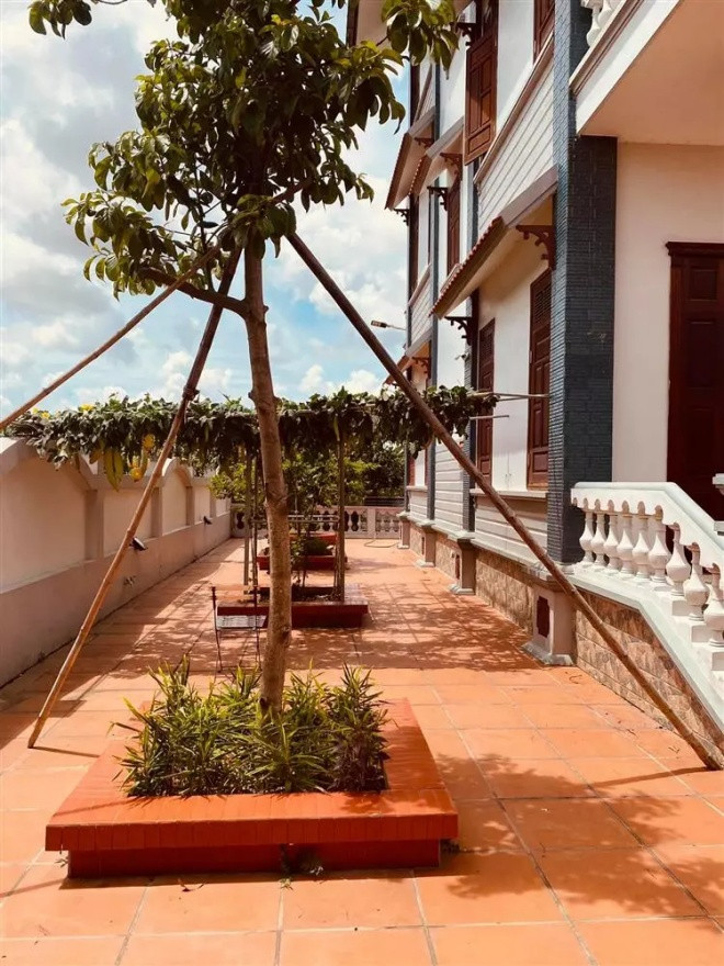 Giàn mướp bên hông nhà. Ảnh: FBNV