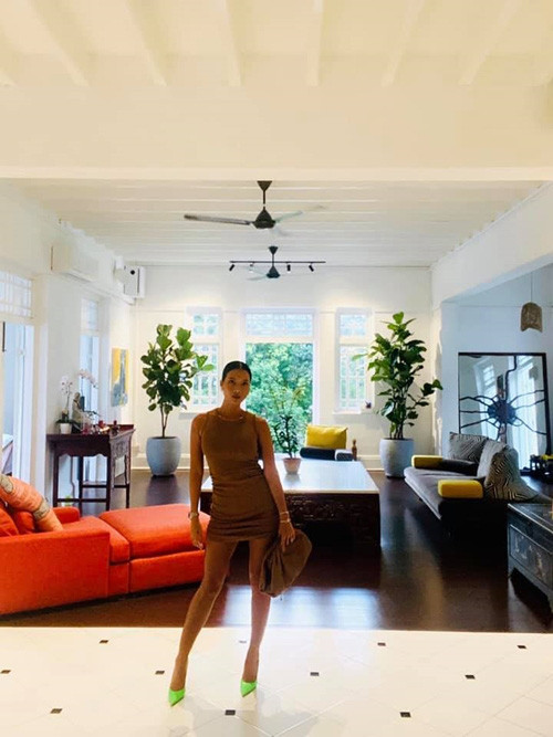 Phòng khách nhìn ra khu vườn xanh mát. Ảnh: FBNV