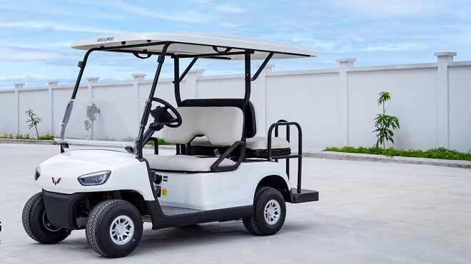 Thai Binh Hung Thinh “canh tranh” Vinfast san xuat o to dien la ai?-Hinh-2