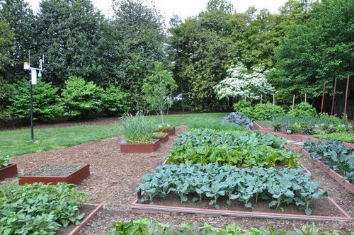 Gia đình ông Obama còn có một khu vườn riêng trong khuôn viên Nhà Trắng. Khu vườn này do phu nhân tổng thống tạo nên, rộng khoảng 100m2 với rất nhiều loại rau xanh, củ quả, thảo mộc và rau gia vị. Buổi tiệc chiêu đãi lãnh đạo các nước thường có đồ ăn chế biến từ rau quả gia đình tự trồng được.