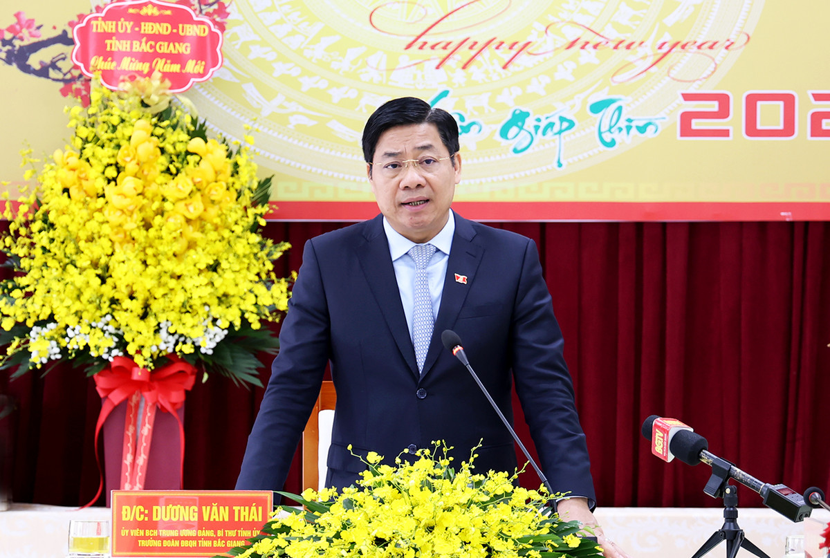 Tại Đại hội XIII của Đảng, ông trúng cử vào Ban chấp hành Trung ương Đảng khóa XIII, giữ chức Bí thư Tỉnh ủy, Chủ tịch HĐND tỉnh Bắc Giang nhiệm kỳ 2021 - 2026. 