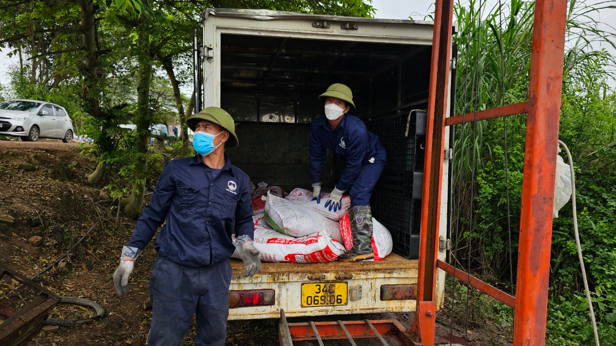 Nong dan dau xot nhin ca long chet va mon no hang ty dong-Hinh-8