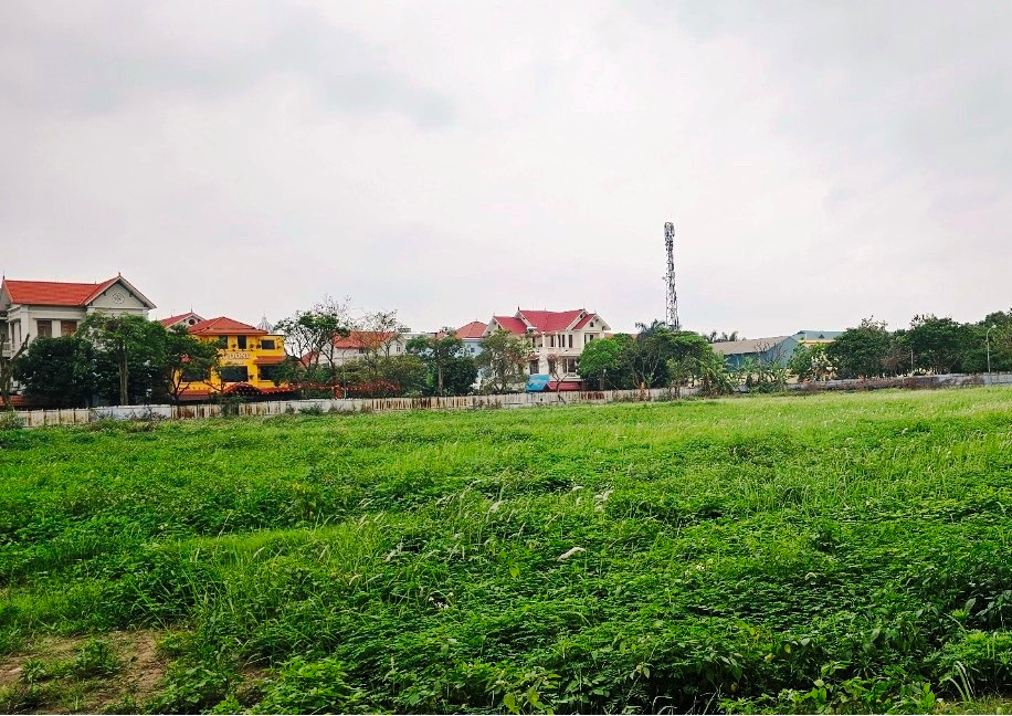 Hiện nay, Trung tâm dịch vụ đấu giá tài sản tỉnh Hải Dương đang tổ chức đấu giá tài sản là quyền sử dụng đất, tài sản trên đất để chọn nhà đầu tư thực Dự án Khu khách sạn và Nhà chung cư hỗn hợp thuộc khu hành chính tập trung với mức khởi điểm hơn 401 tỷ đồng. Thời gian dự kiến tổ chức cuộc đấu giá vào 13h30 ngày 19/4 tại Hội trường Trung tâm dịch vụ đấu giá tài sản tỉnh Hải Dương. 