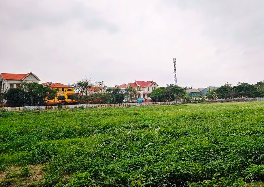 Hiện nay, Trung tâm dịch vụ đấu giá tài sản tỉnh Hải Dương đang tổ chức đấu giá tài sản là quyền sử dụng đất, tài sản trên đất để chọn nhà đầu tư thực Dự án Khu khách sạn và Nhà chung cư hỗn hợp thuộc khu hành chính tập trung với mức khởi điểm hơn 401 tỷ đồng. Thời gian dự kiến tổ chức cuộc đấu giá vào 13h30 ngày 19/4 tại Hội trường Trung tâm dịch vụ đấu giá tài sản tỉnh Hải Dương. 