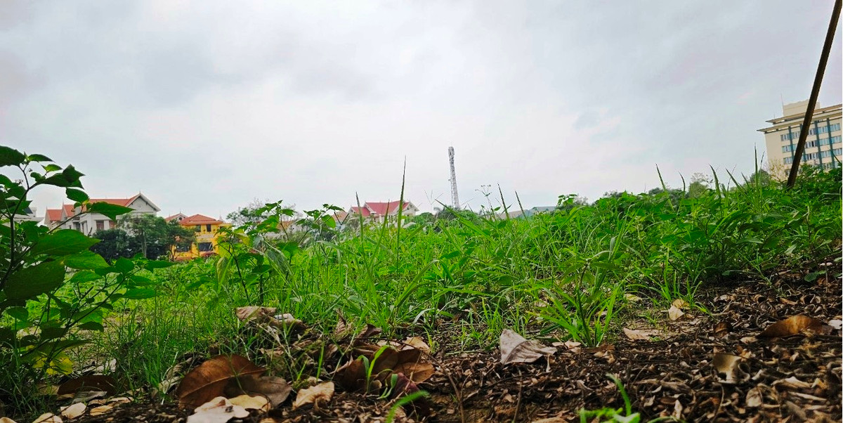 Khu đất rộng hơn 1,7ha thuộc Khu Hành chính tập trung tỉnh Hải Dương từng là một trong được dư luận đặc biệt quan tâm. Trước đó, khu đất được UBND tỉnh Hải Dương tổ chức đấu giá thành công vào năm 2016. Công ty TNHH Đầu tư và Quản lý Hoàng Phúc có địa chỉ tại Hà Nội là đơn vị trúng đấu giá với mức giá hơn 81,4 tỷ đồng. Sau khi trúng đấu giá, doanh nghiệp đã nộp tiền vào ngân sách nhà nước và được Sở Tài nguyên và Môi trường tỉnh Hải Dương bàn giao đất trên thực địa vào năm 2018. 