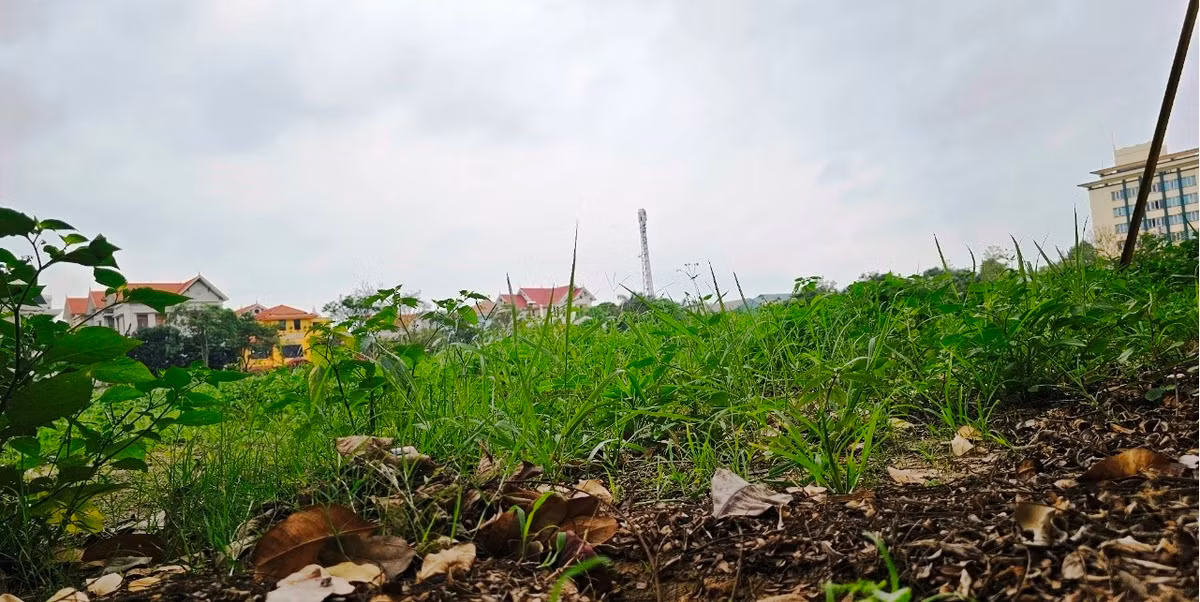 Khu đất rộng hơn 1,7ha thuộc Khu Hành chính tập trung tỉnh Hải Dương từng là một trong được dư luận đặc biệt quan tâm. Trước đó, khu đất được UBND tỉnh Hải Dương tổ chức đấu giá thành công vào năm 2016. Công ty TNHH Đầu tư và Quản lý Hoàng Phúc có địa chỉ tại Hà Nội là đơn vị trúng đấu giá với mức giá hơn 81,4 tỷ đồng. Sau khi trúng đấu giá, doanh nghiệp đã nộp tiền vào ngân sách nhà nước và được Sở Tài nguyên và Môi trường tỉnh Hải Dương bàn giao đất trên thực địa vào năm 2018. 