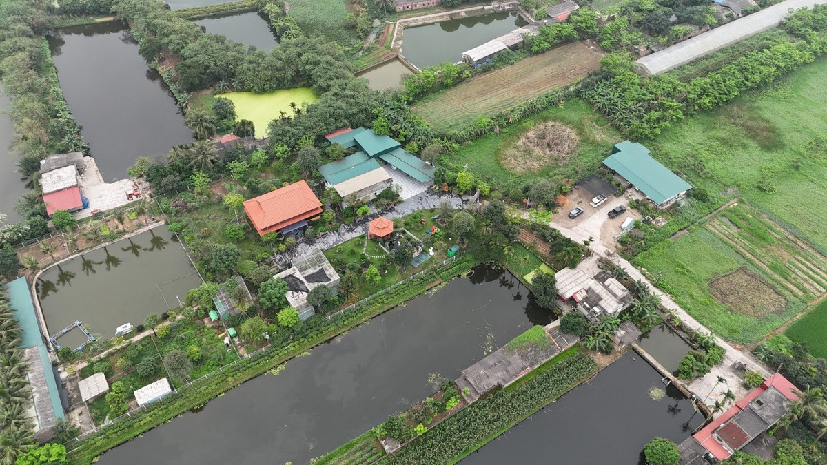 Hai Duong: Dang thao do quan the cong trinh vi pham tren dat nong nghiep