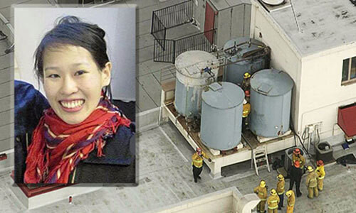 Camera an ninh đã ghi lại được bức ảnh được chụp trước khi cô đứng trong thang máy, trước lúc chết kỳ lạ không lâu. Elisa bấm rất nhiều tầng nhưng cửa thang máy không đóng lại. Có vẻ như cô gái đang đứng trốn ai đó, mặt rất sợ hãi nhưng hoàn toàn không thấy ai xuất hiện. Lam bước ra ngoài, nhìn quanh quất rồi lại bước vào trong thang máy, rồi lại bước ra một vài lần. Vài phút trôi qua, cô gái biến mất khỏi tầm nhìn của máy quay trong khi cửa thang máy vẫn đóng mở vài lần dù không ai bấm.