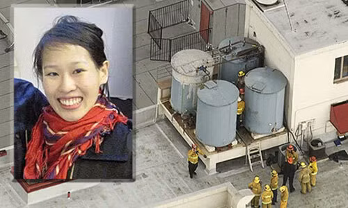 Camera an ninh đã ghi lại được bức ảnh được chụp trước khi cô đứng trong thang máy, trước lúc chết kỳ lạ không lâu. Elisa bấm rất nhiều tầng nhưng cửa thang máy không đóng lại. Có vẻ như cô gái đang đứng trốn ai đó, mặt rất sợ hãi nhưng hoàn toàn không thấy ai xuất hiện. Lam bước ra ngoài, nhìn quanh quất rồi lại bước vào trong thang máy, rồi lại bước ra một vài lần. Vài phút trôi qua, cô gái biến mất khỏi tầm nhìn của máy quay trong khi cửa thang máy vẫn đóng mở vài lần dù không ai bấm.