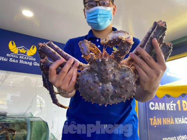 Cận cảnh cua hoàng đế màu tím siêu hiếm mới xuất hiện ở VN Can canh cua hoang de mau tim sieu hiem moi xuat hien o VN