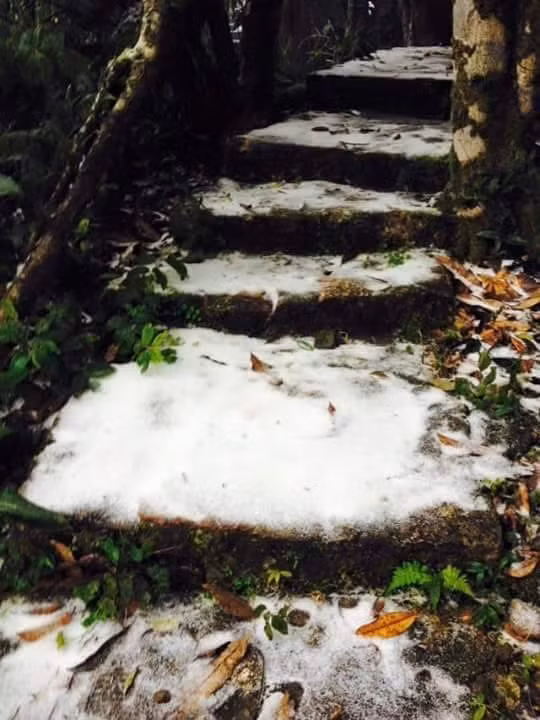 Lan dau tien trong lich su Ha Noi co tuyet roi-Hinh-8