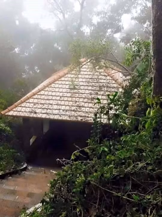 Lan dau tien trong lich su Ha Noi co tuyet roi-Hinh-7