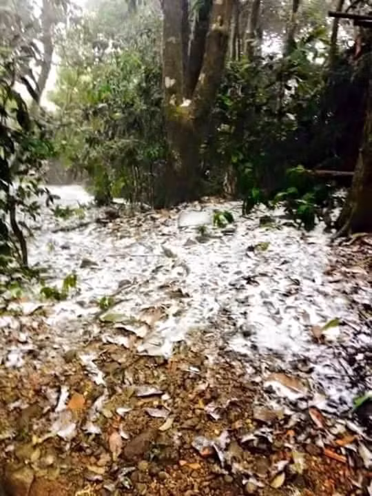 Lan dau tien trong lich su Ha Noi co tuyet roi-Hinh-6