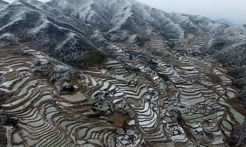 Ảnh chụp khu ruộng bậc thang ở làng Huangbao từ trên cao, sau một trận mưa tuyết hôm 23/1.