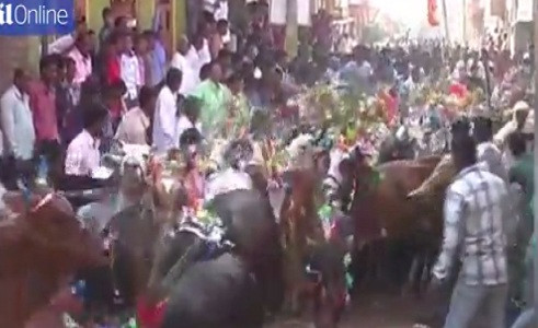 Người tham gia tin rằng, nghi thức này sẽ mang lại may mắn và sự thịnh vượng cho họ.