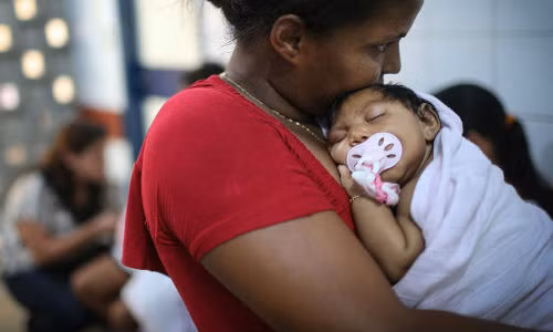 Ở vùng đông bắc Brazil, số ca trẻ sơ sinh mắc tật đầu nhỏ - một hội chứng rối loạn thần kinh do nhiễm virus Zika khiến đầu và não của trẻ nhỏ hơn bình thường - tăng đáng kể. Bộ Y tế Brazil cho hay, số ca trẻ sơ sinh nghi bị tật đầu nhỏ tăng khoảng 360 trường hợp chỉ trong vòng 10 ngày, lên tới 3.893.