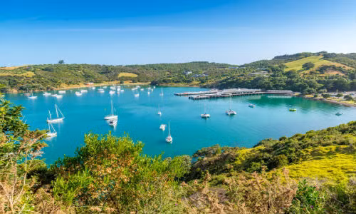 Đảo Waiheke, New Zealand với nhiều vịnh nhỏ, bãi biển và những vườn nho,... là một điểm đến thú vị. Ngoài ra, du khách có thể đi xe đạp leo núi hoặc chèo thuyền kayak,...