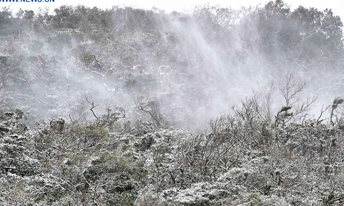 Khu rừng ở Yangming bị bao phủ bởi tuyết trắng trong đợt rét lịch sử.